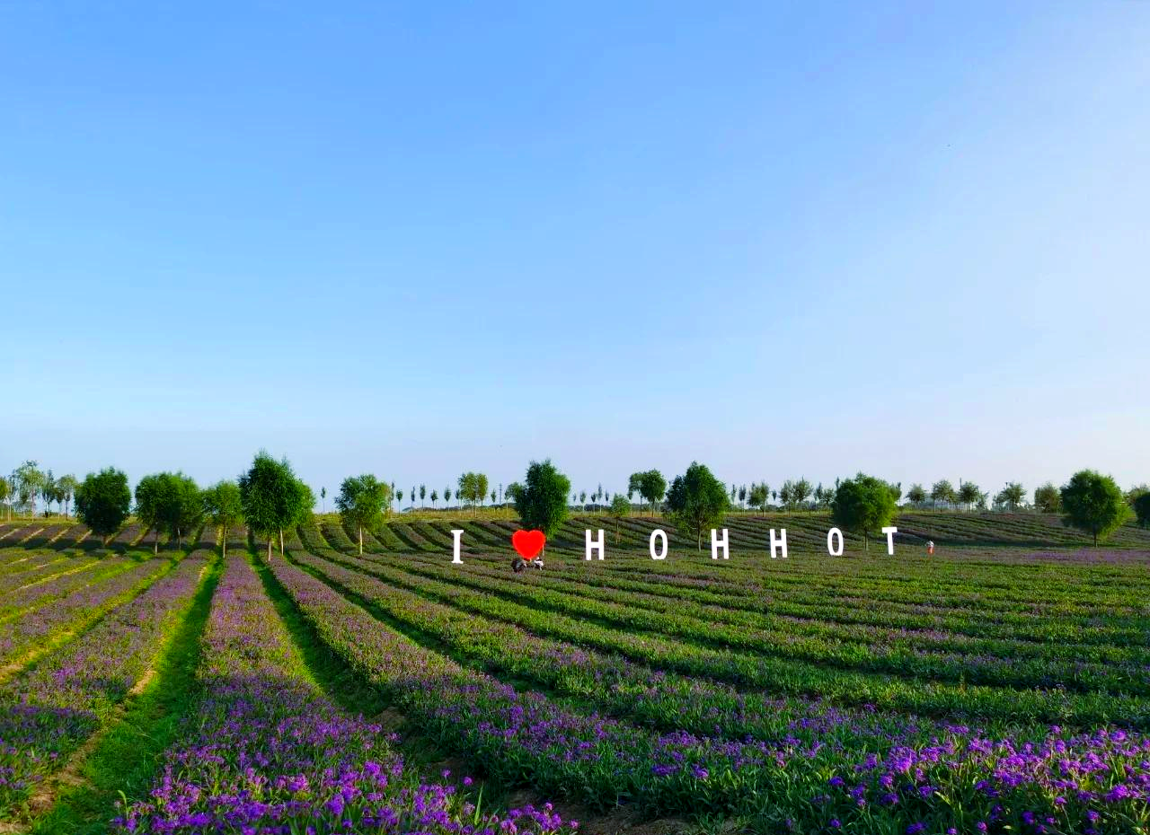 呼市周边旅游景点(呼市周边旅游景点大全)