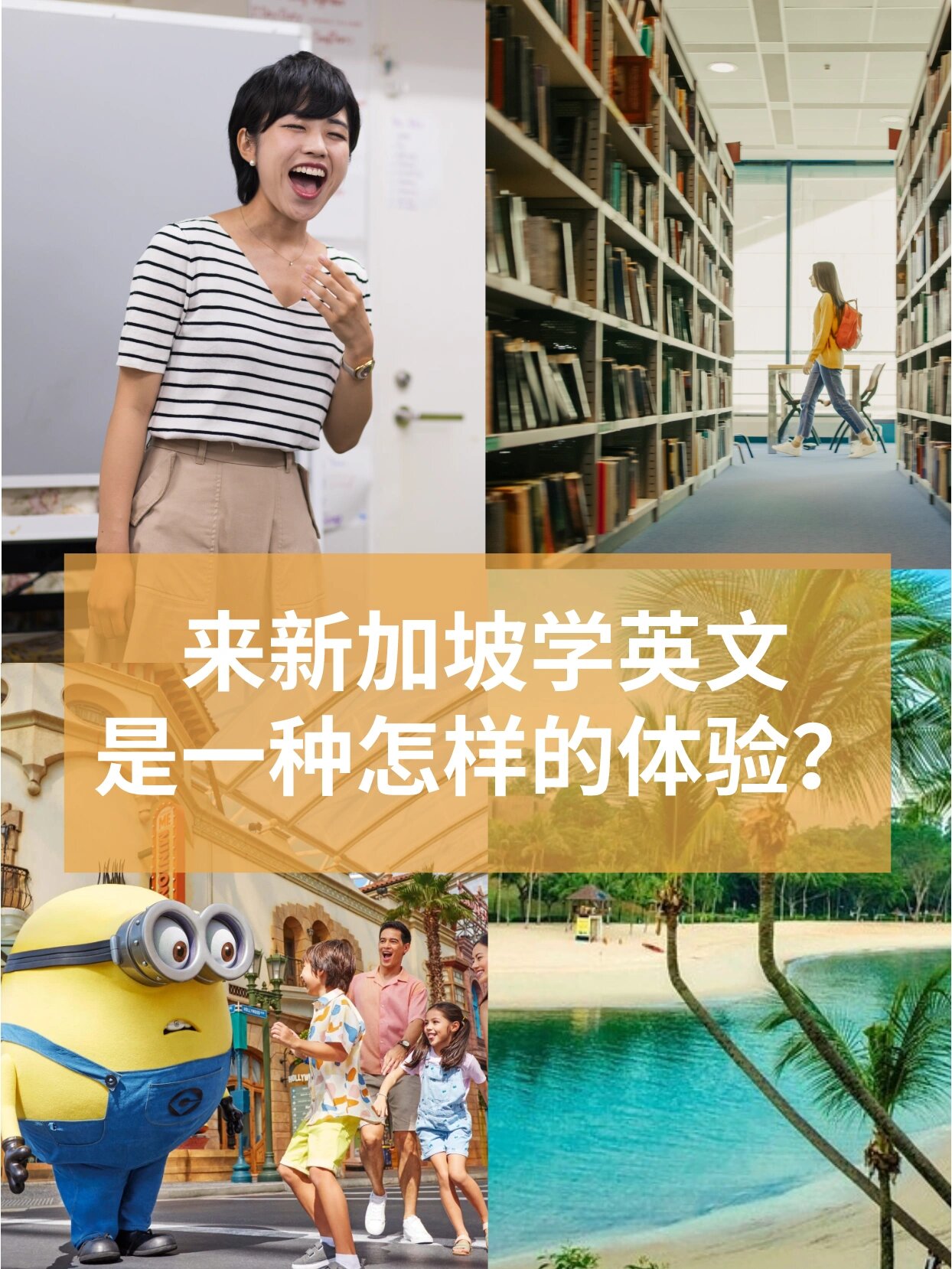 新加坡旅游英文介绍(在新加坡旅行方便吗的英文)