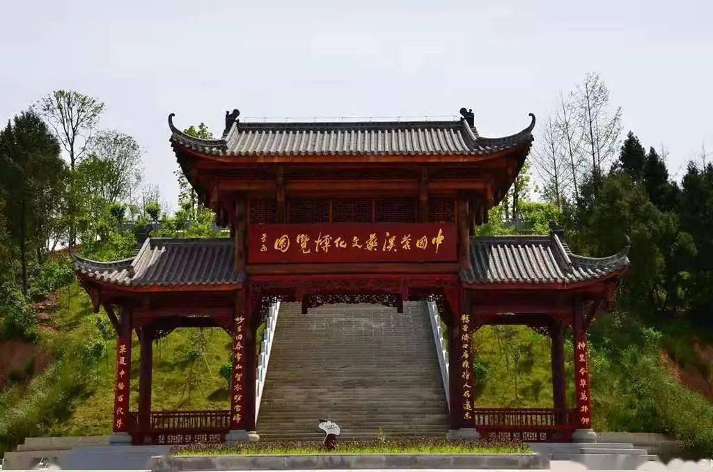中医药文化旅游(中医药文化旅游发展有限公司)
