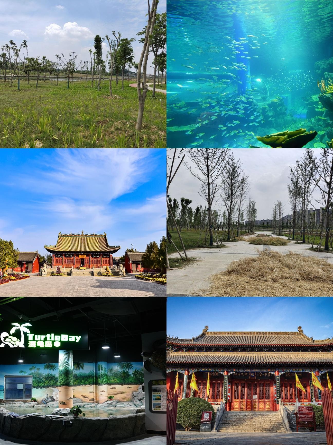 周口附近旅游景点(周口附近旅游景点大全排名)