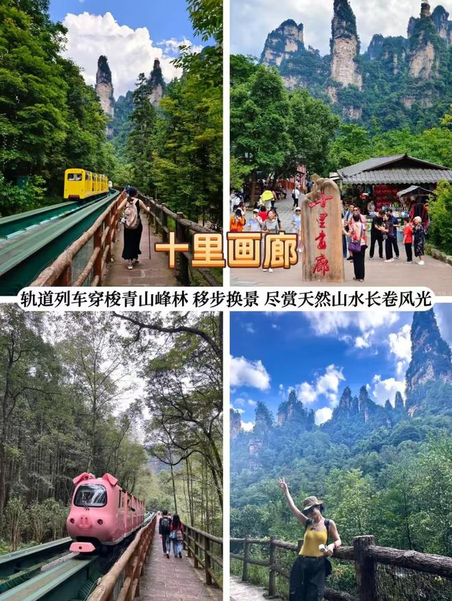 11月旅游去哪里好(11月旅游去哪里好玩)