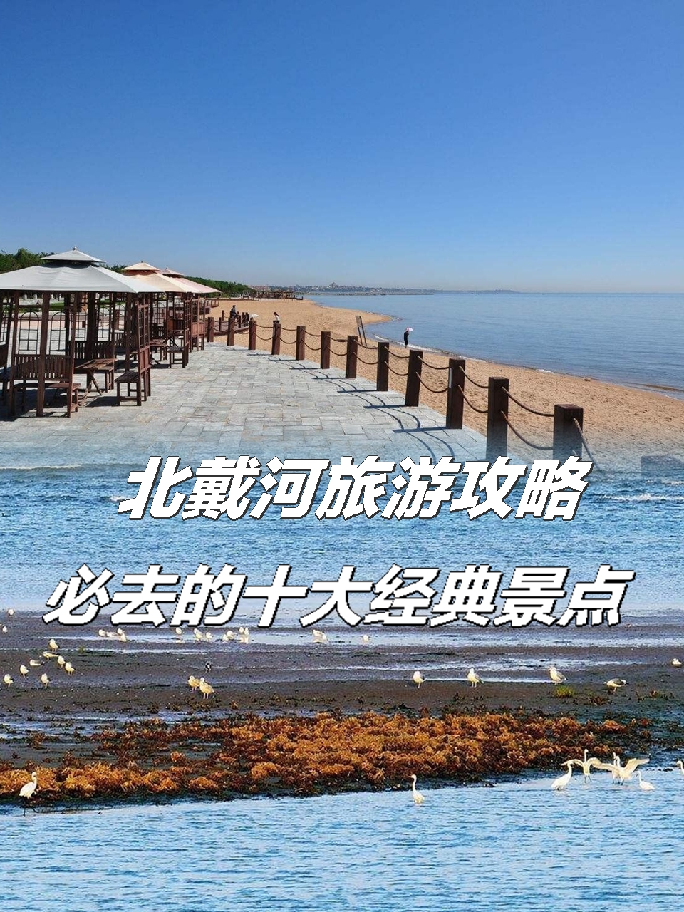 北戴河旅游(北戴河旅游朋友圈文案)