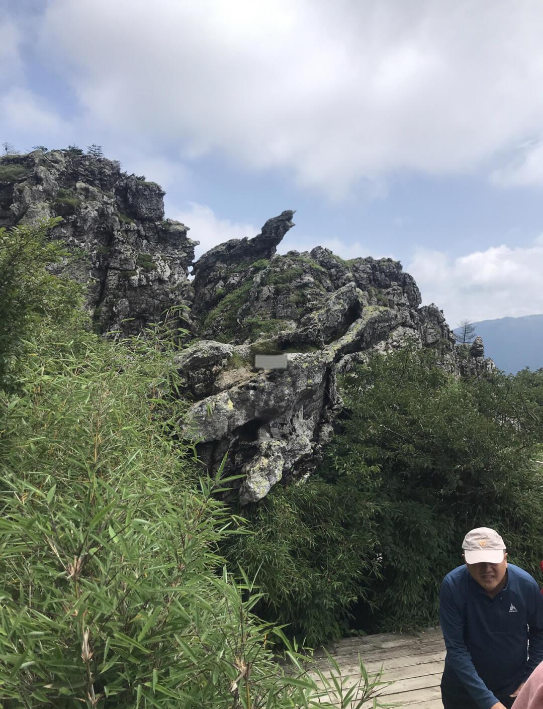 神龙架最佳旅游时间(神龙架景区旅游住哪里方便)