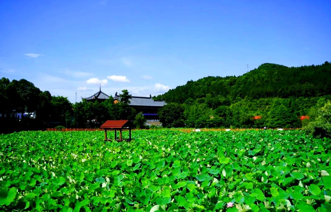 平乐旅游区(平乐最出名三个景点)