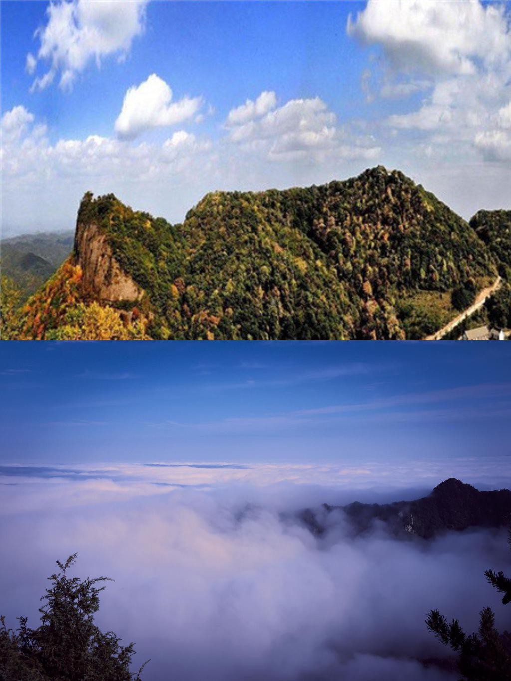 哪个国家旅游(哪个国家旅游人数最多)