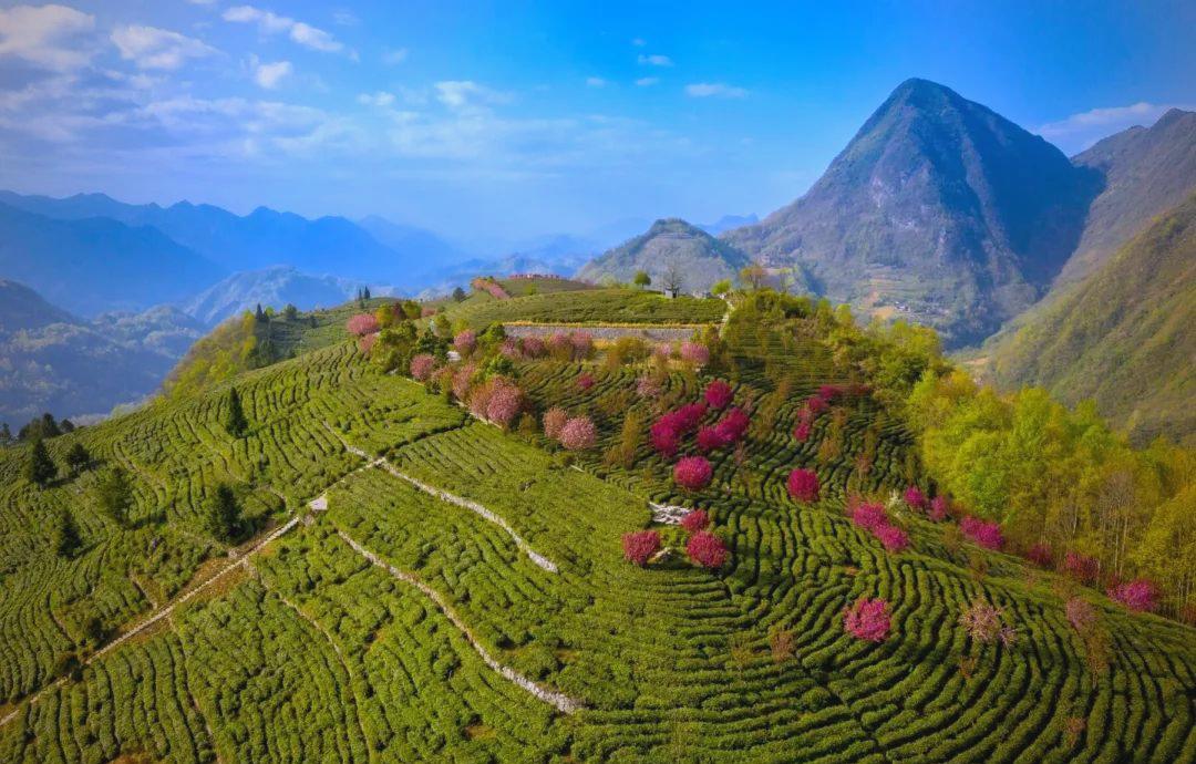 镇巴县旅游景点(镇巴县旅游景点分布图高清)