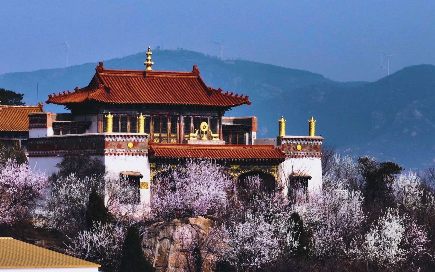 阜新旅游(阜新旅游攻略)