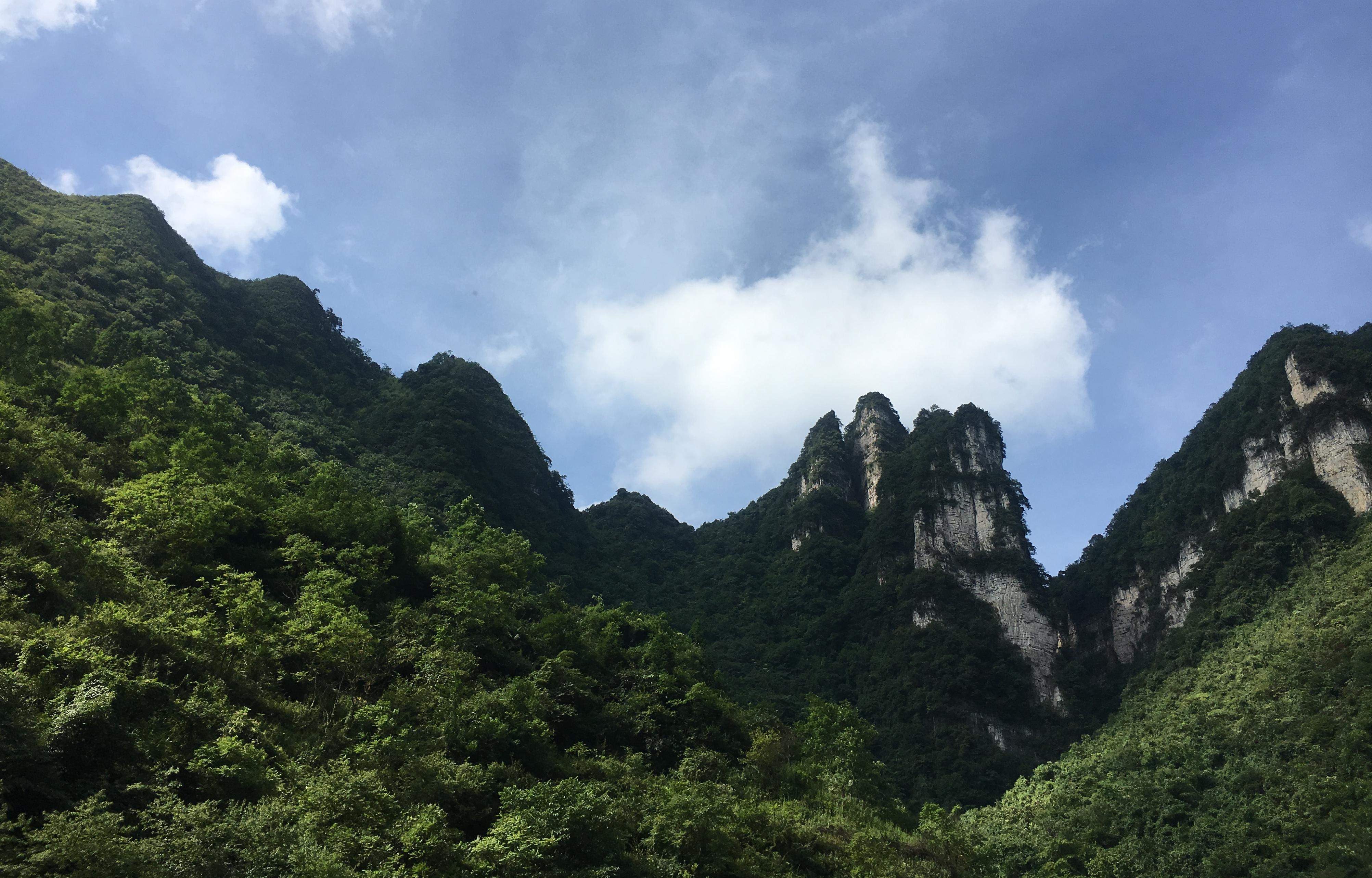 大方旅游(大方旅游官网江门)